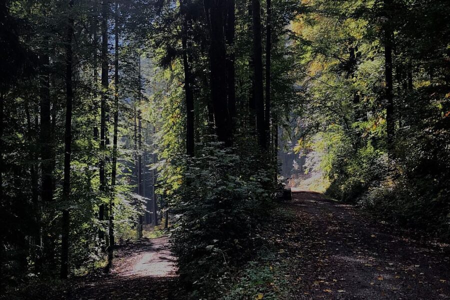 Blessing or Woe? Which Way Do We Go?