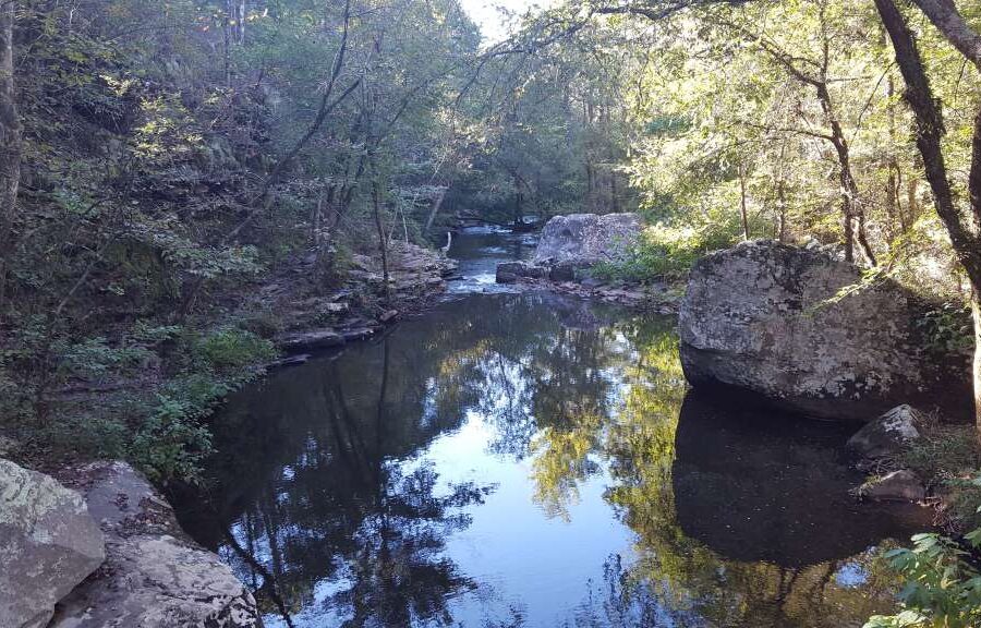 Living a Contemplative Life