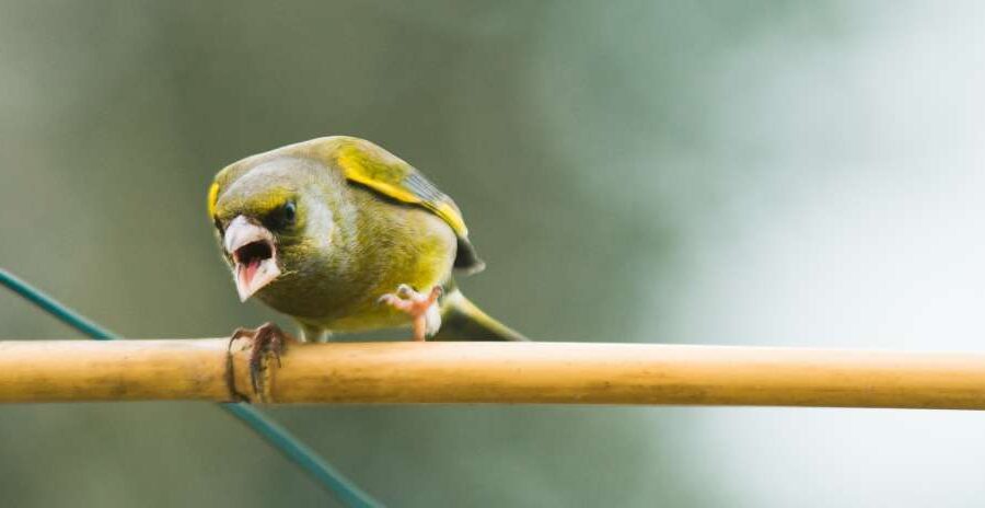 Struggling with Anger?