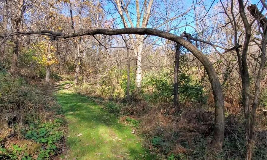 The Power of Perseverance