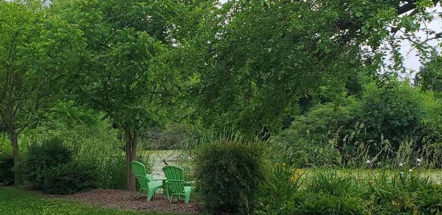 Toad-al Silence is Key