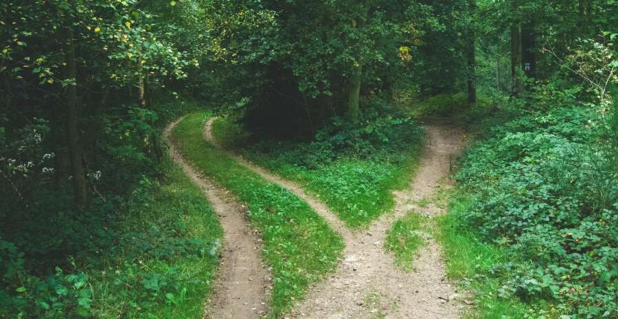 Making Meaningful Choices