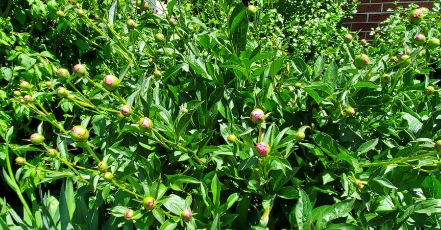 The Beginning of Something New