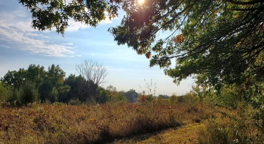 What A Beautiful Day