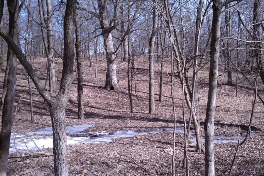 Things Are Not Always What They Seem