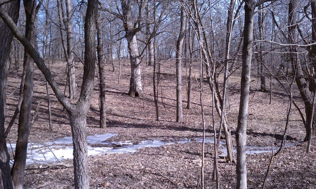 Things Are Not Always What They Seem