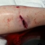 Things Are Not Always What They Seem