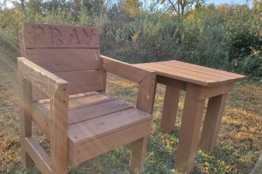 Invasion of the Stink Bugs