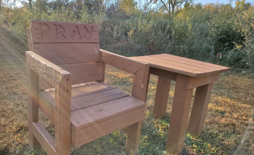 Invasion of the Stink Bugs