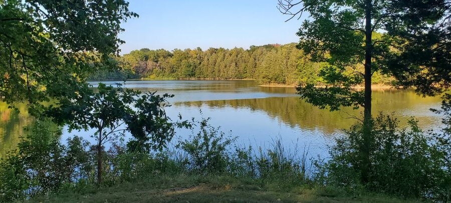 4 Practices to Help Break Through the Noise