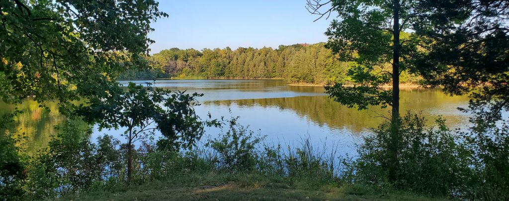 4 Practices to Help Break Through the Noise