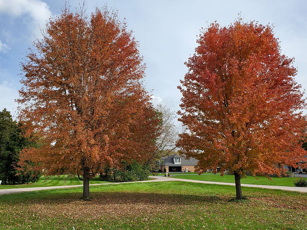 The Same, Only Different