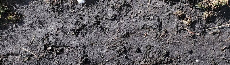 Here’s Mud in Your Eye