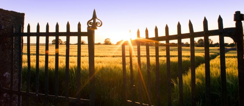 Slightly open gate