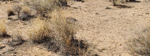 Photo of desert relating to 3 ways to moisturize spiritual dryness